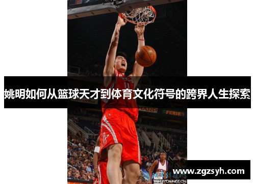 姚明如何从篮球天才到体育文化符号的跨界人生探索