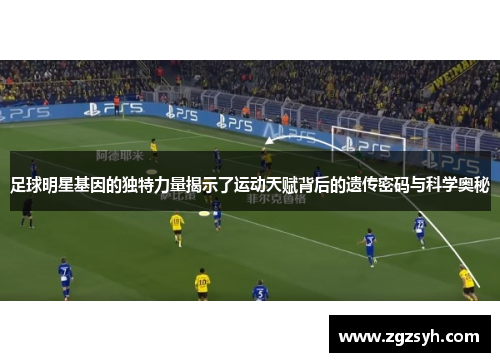 足球明星基因的独特力量揭示了运动天赋背后的遗传密码与科学奥秘