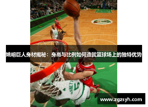 姚明巨人身材揭秘：身高与比例如何造就篮球场上的独特优势