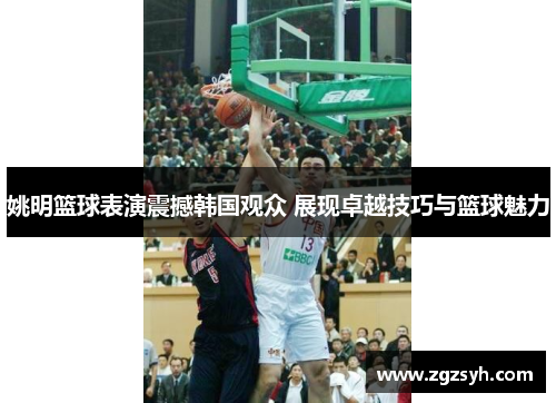 姚明篮球表演震撼韩国观众 展现卓越技巧与篮球魅力