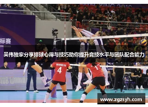 吴伟独家分享排球心得与技巧助你提升竞技水平与团队配合能力