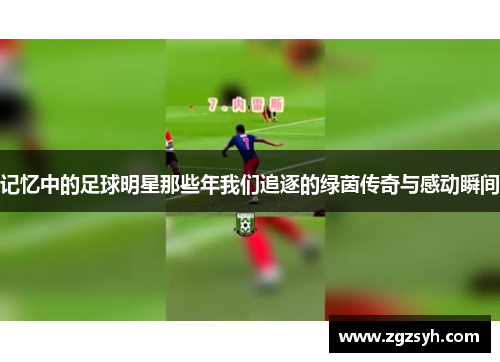 记忆中的足球明星那些年我们追逐的绿茵传奇与感动瞬间