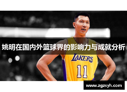 姚明在国内外篮球界的影响力与成就分析